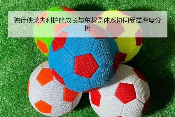 独行侠莱夫利护筐成长与东契奇体系协同受益深度分析